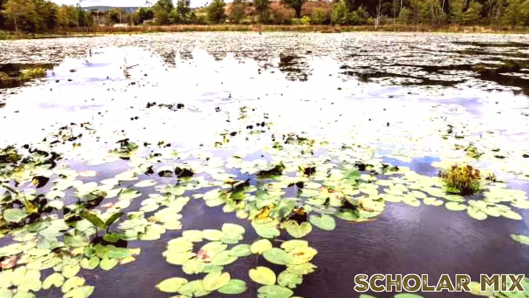 North Branch Land Trust Awarded Grant for Educational Initiatives