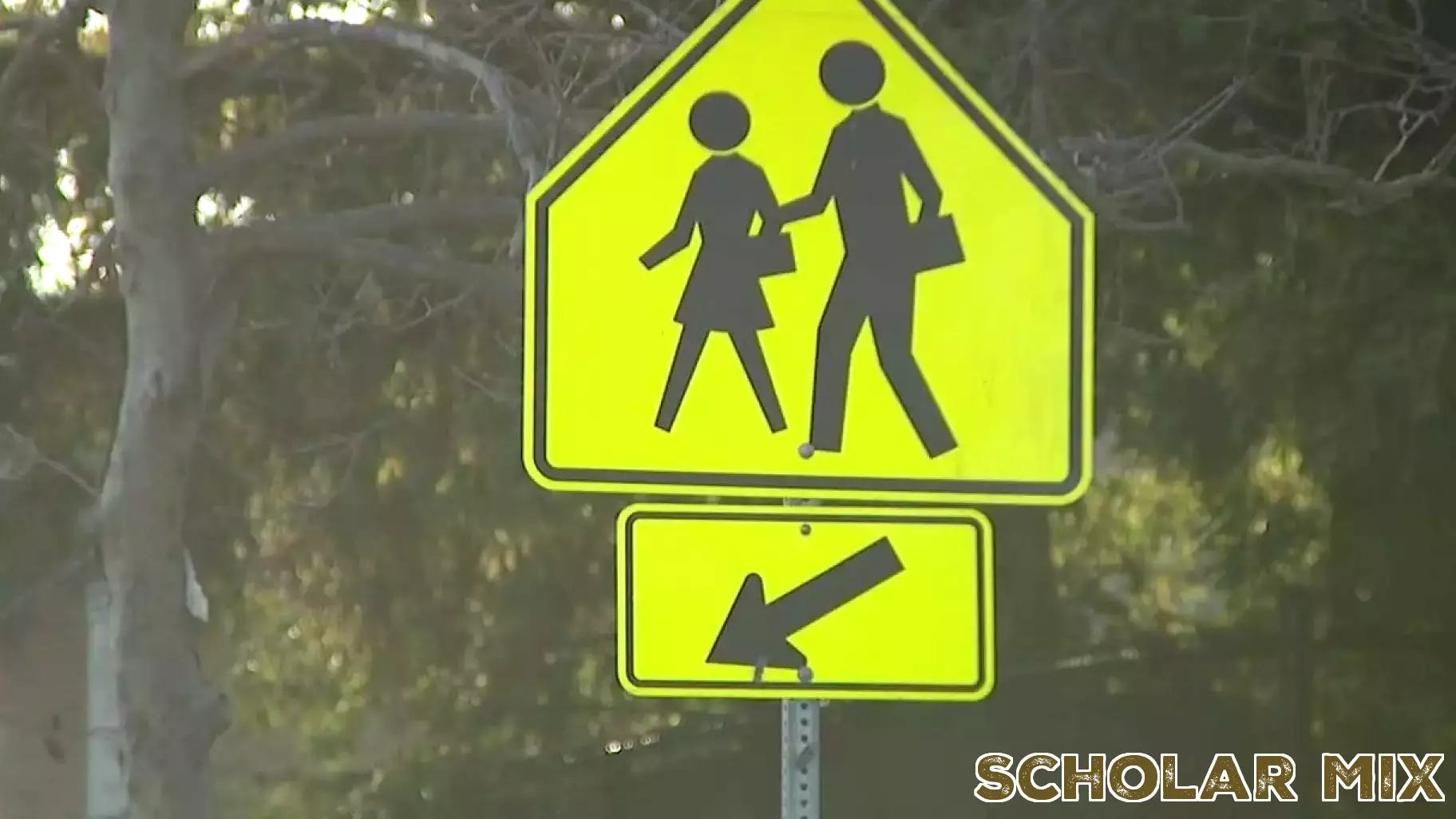 San Mateo County Schools Respond to Immigration Enforcement Concerns