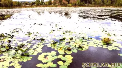 North Branch Land Trust Awarded Grant for Educational Initiatives